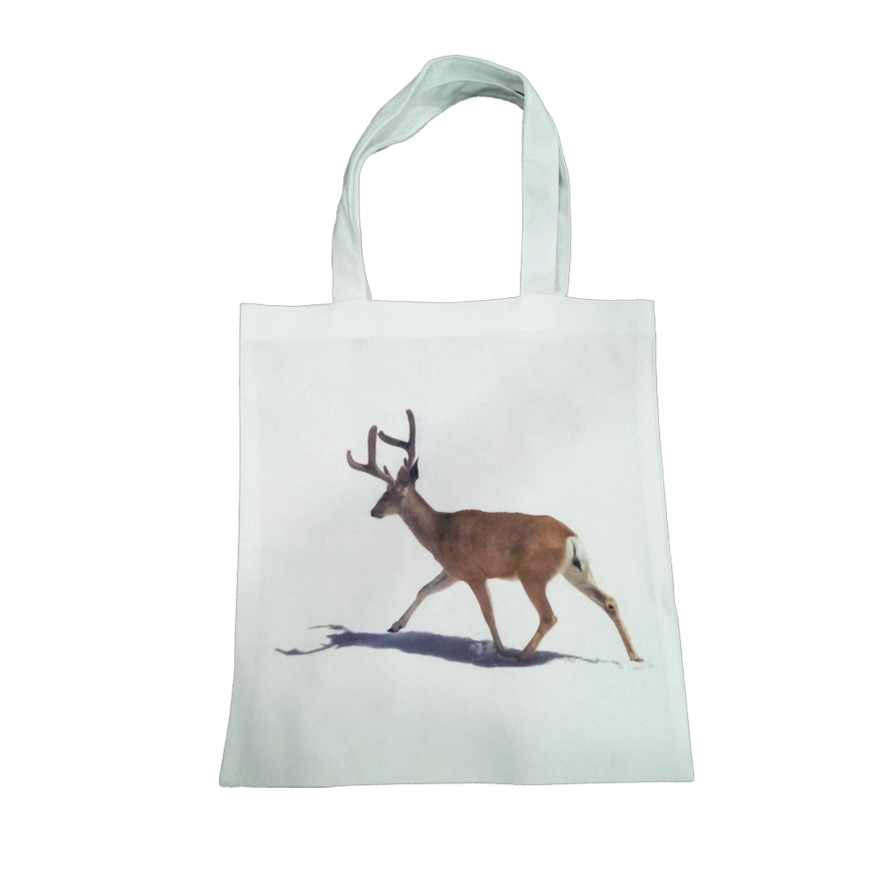 Silk Screen Print PLA Corn Compostable Eco-Friendly Non-Woven Shopping Bag