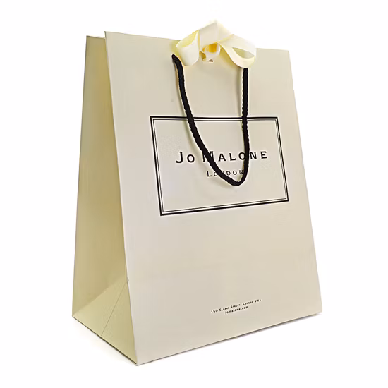 Paper Bag Custom Logo Print Wholesale Grocery White Brown Paper Gift Bag with Handle Item Industrial Surface Packaging